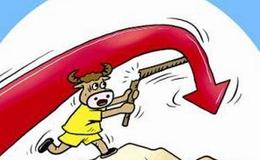 散户炒股的七大误区