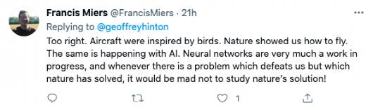 大脑飞行是啥？Hinton推特引热议，神经网络是让小鸟飞起来的「羽毛」？