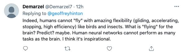 大脑飞行是啥？Hinton推特引热议，神经网络是让小鸟飞起来的「羽毛」？