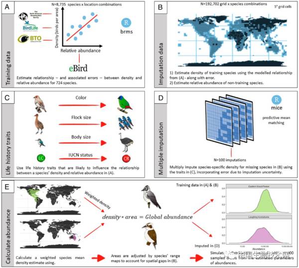 世界鸟儿知多少？PNAS发布首个全球野生“鸟口普查”结果！