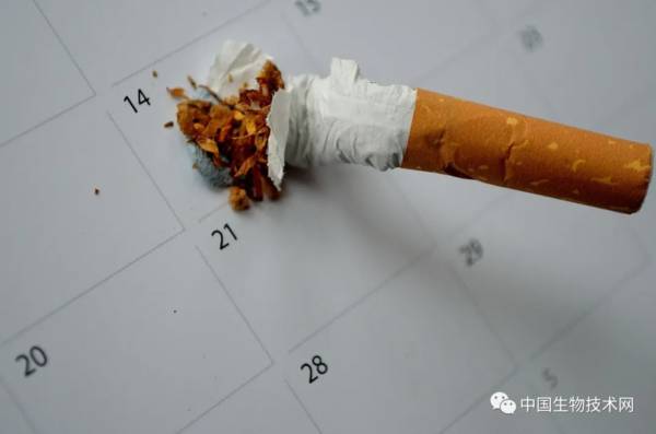 Nature子刊：活过120岁不是没有可能，但吸烟等行为会大幅降低这种可能