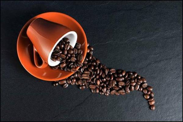 库迪咖啡疯狂开店狂飙，靠低价再造一个瑞幸的可能性有多大？