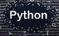 AI领域都在用Python即将被淘汰？网友预测未来的编程语言不会是TA