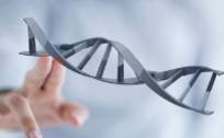 美因基因港交所递表：消费级基因检测是一门好生意了吗？
