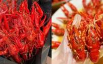 小龙虾为什么又“红”又“不红”？