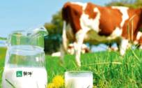 三年砸掉近200亿营销费，蒙牛的液态奶只玩了个“寂寞”？